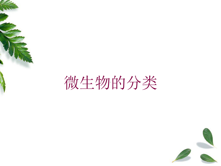 微生物的分类培训课件.ppt_第1页