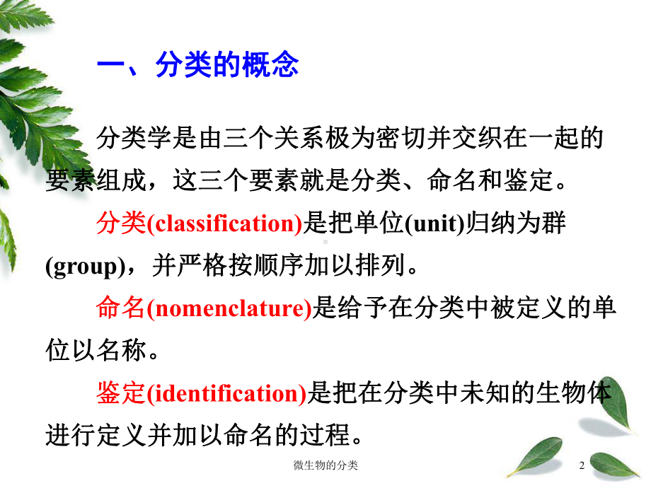 微生物的分类培训课件.ppt_第2页