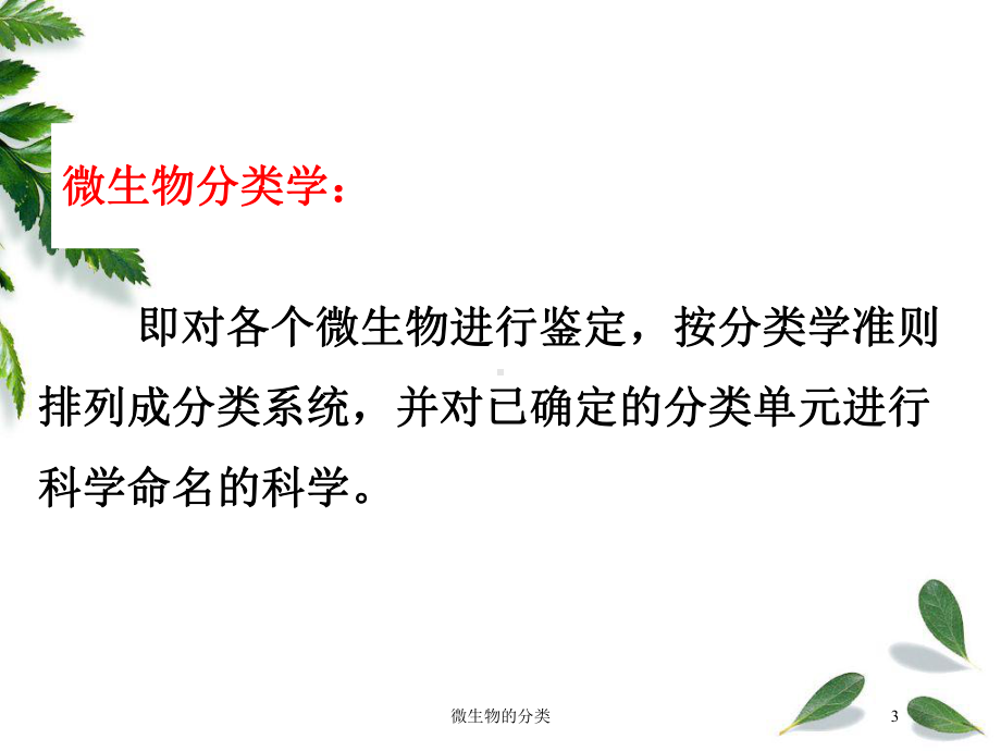 微生物的分类培训课件.ppt_第3页