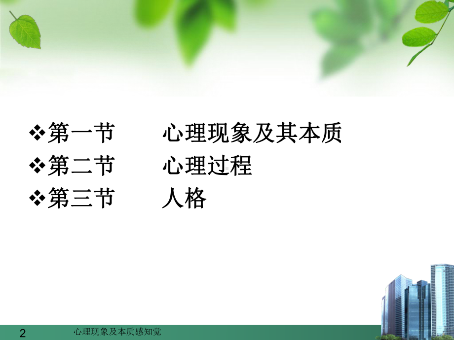 心理现象及本质感知觉培训课件.ppt_第2页