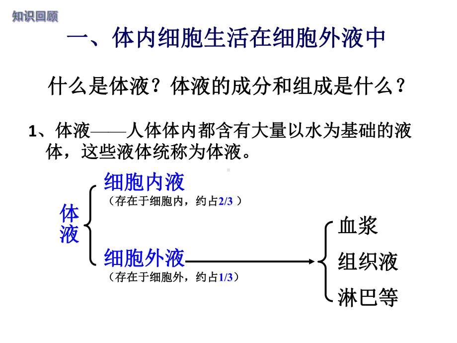 曹祥华公开课人体内环境及稳态课件.pptx_第3页