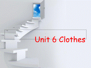 新起点小学三年级英语上册unit6-Clothes课件.pptx