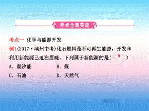 淄博届中考化学复习十二讲化学与社会发展课件.pptx