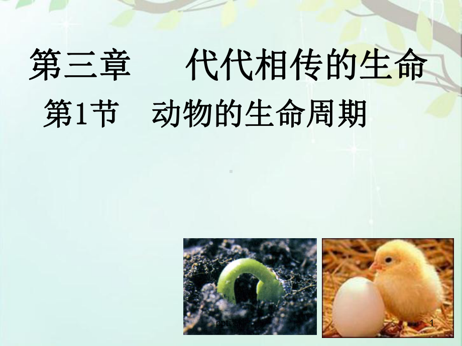 浙教版七年级科学下册《动物的生命周期》-课件.ppt_第1页