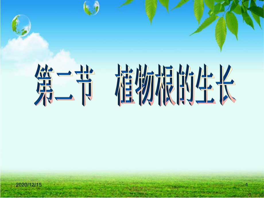 植物根的生长-课件.ppt_第1页