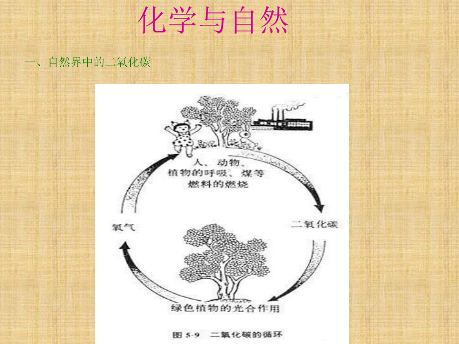 沪教版化学九年《奇妙的二氧化碳》课件之三.ppt_第3页