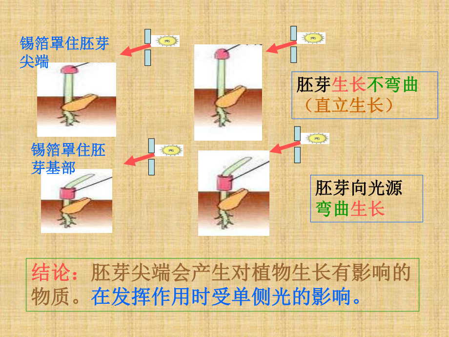 浙教版科学八上《神奇的激素》课件.ppt_第3页