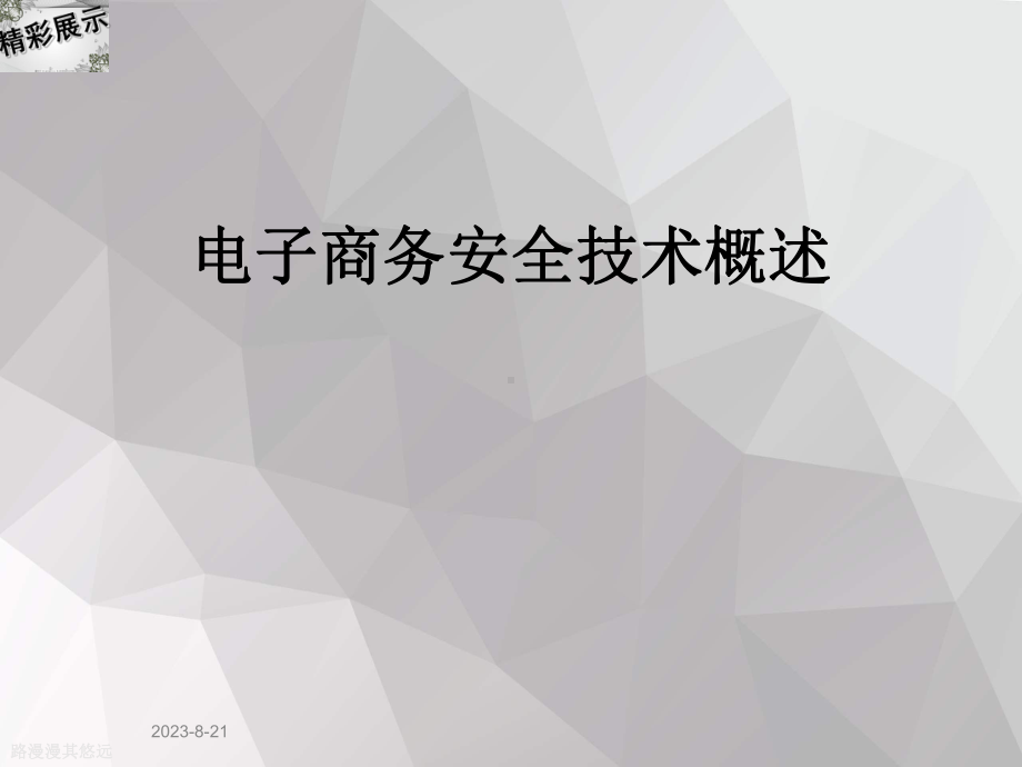 电子商务安全技术概述课件.ppt_第1页