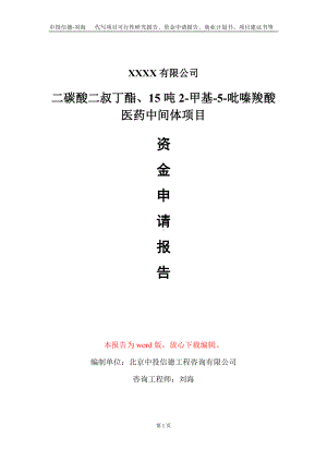 二碳酸二叔丁酯、15吨2-甲基-5-吡嗪羧酸医药中间体项目资金申请报告写作模板+定制代写.doc