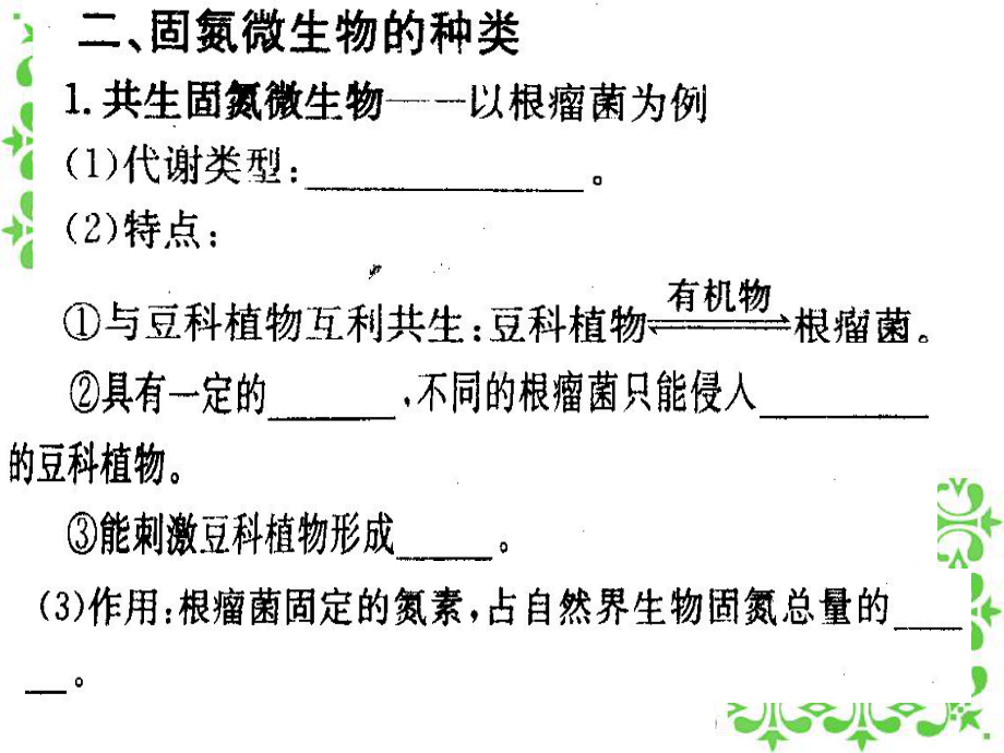 生物固氮课件.ppt_第2页