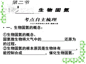 生物固氮课件.ppt