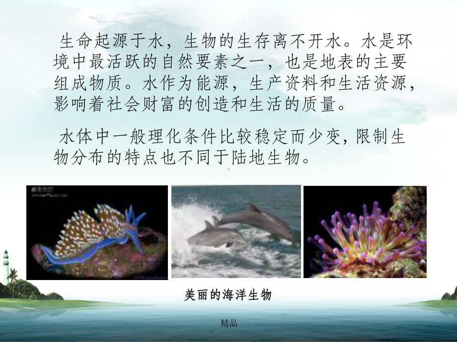 生物地理学-第4章水域生物群课件.ppt_第3页