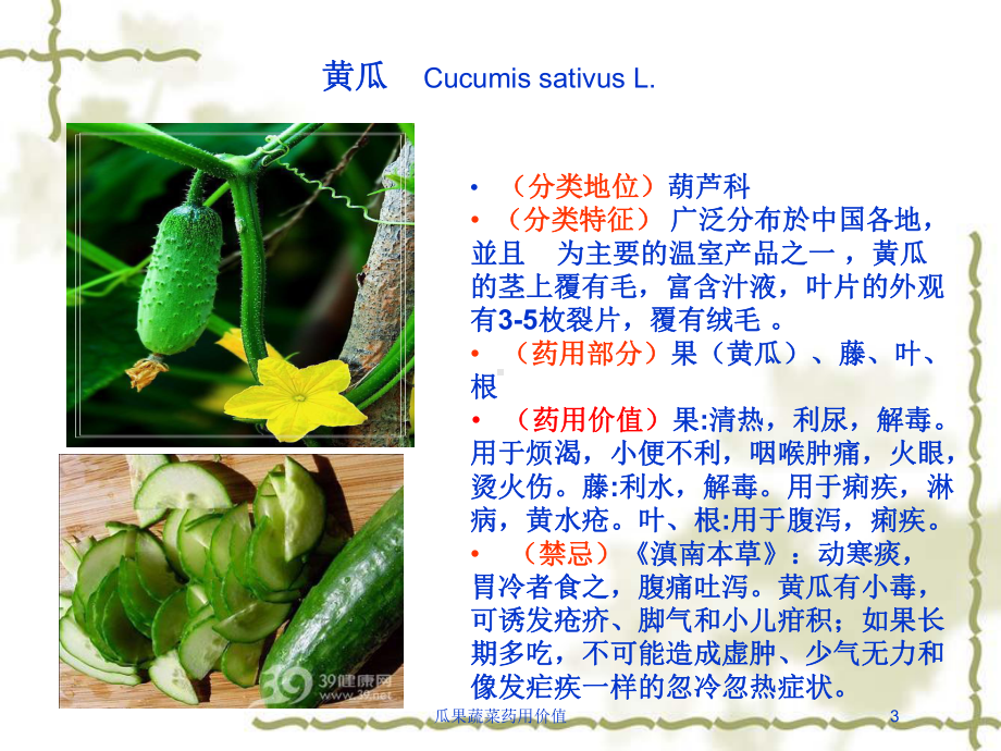 瓜果蔬菜药用价值培训课件.ppt_第3页