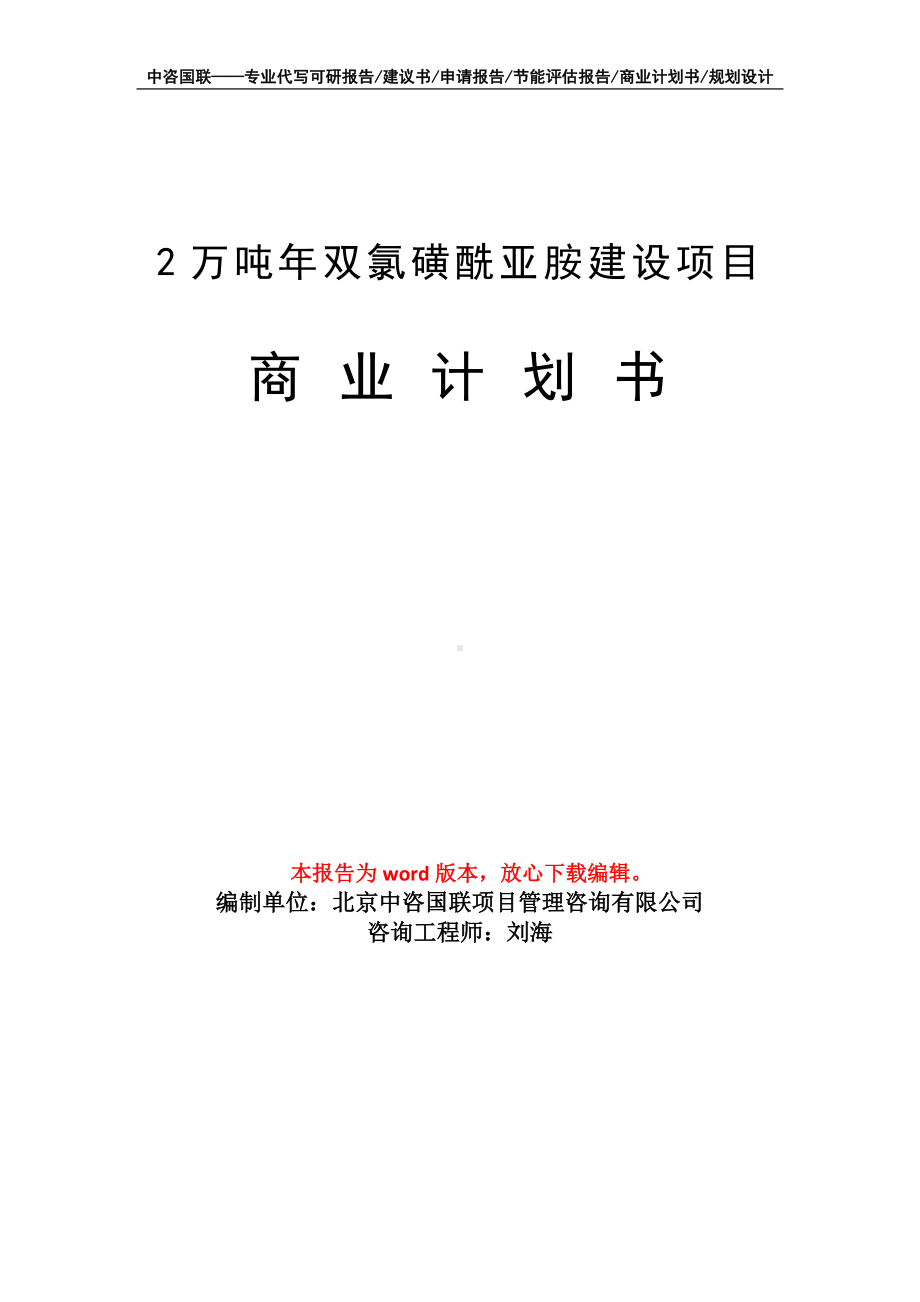 2万吨年双氯磺酰亚胺建设项目商业计划书写作模板-融资.doc_第1页