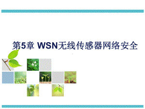 第5章WSN无线传感器网络安全《物联网安全导论》教学课件.ppt