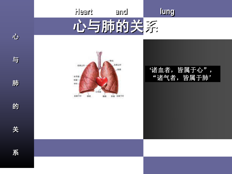 脏腑之间的关系2课件.ppt_第2页