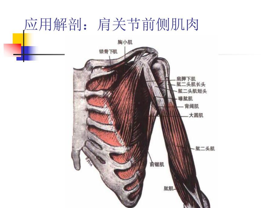 肩关节C形针刀松解术治疗肩周炎课件.ppt_第3页