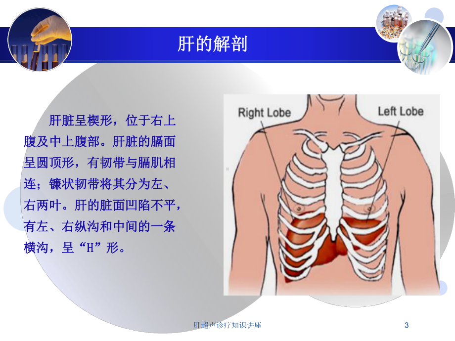 肝超声诊疗知识讲座培训课件.ppt_第3页