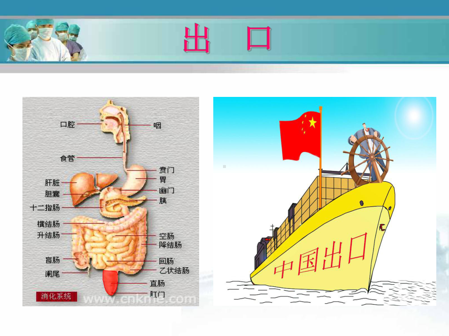 肛肠病总论教学课件.ppt_第1页