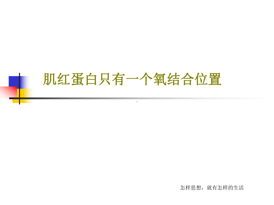 肌红蛋白只有一个氧结合位置课件.ppt_第1页