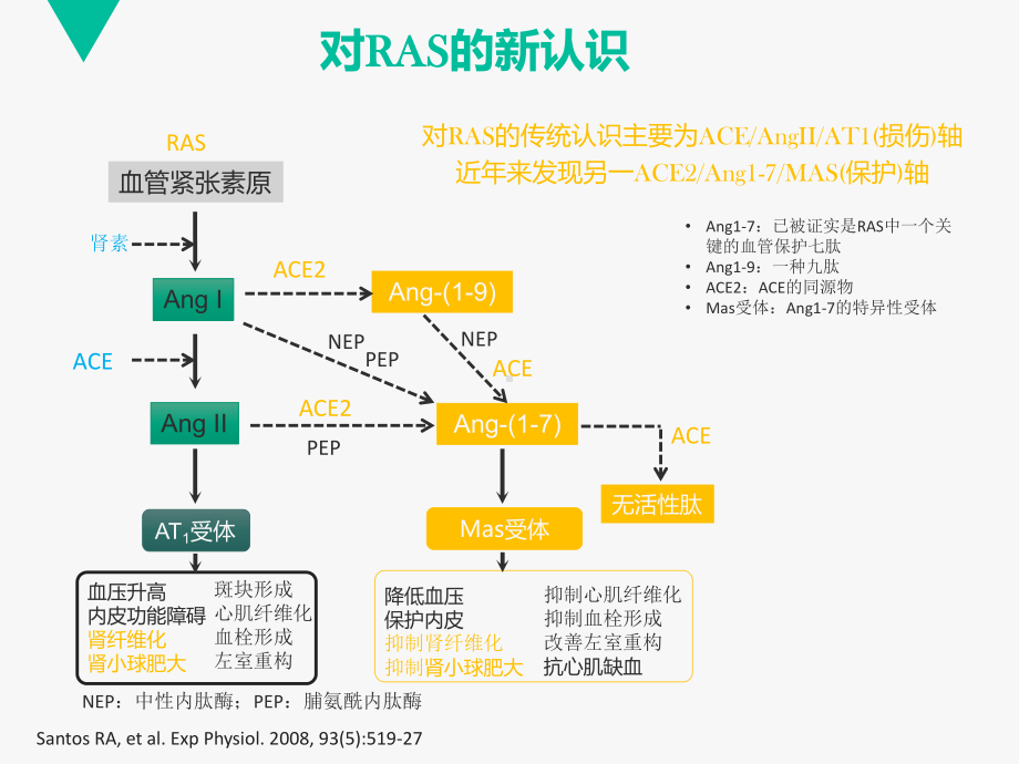 血透患者血压的管理课件.pptx_第3页