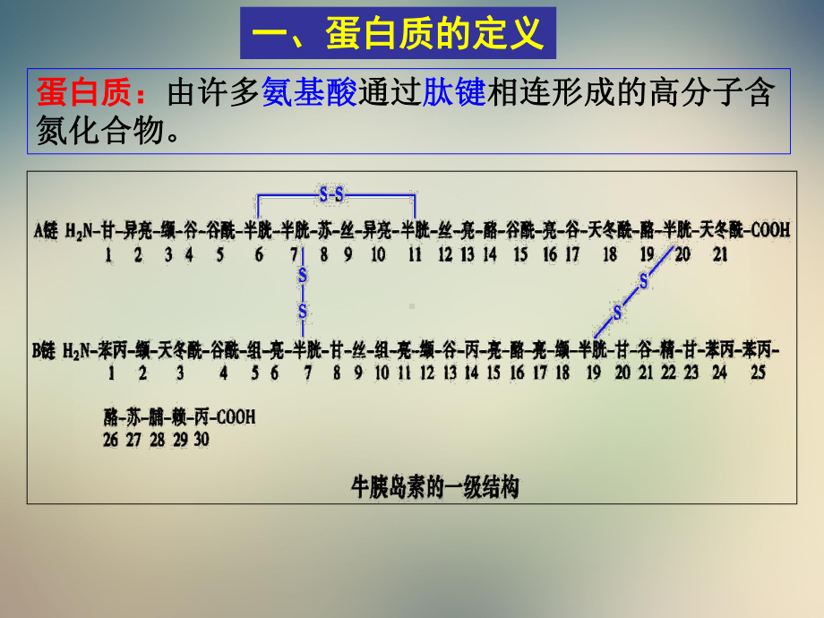 蛋白质高中生物竞赛辅导课件.ppt_第2页