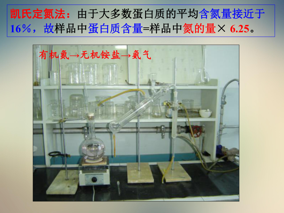 蛋白质高中生物竞赛辅导课件.ppt_第3页