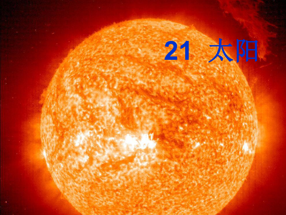 蒋婷婷-21《太阳》公开课资料课件.ppt_第1页