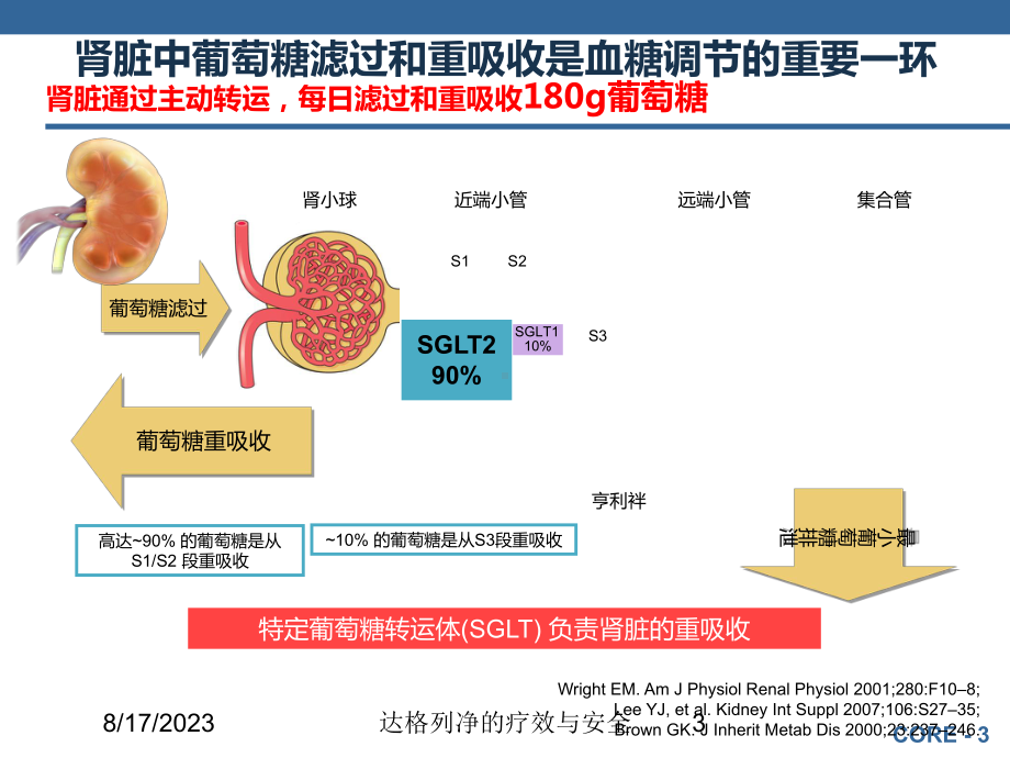 达格列净的疗效与安全培训课件.ppt_第3页