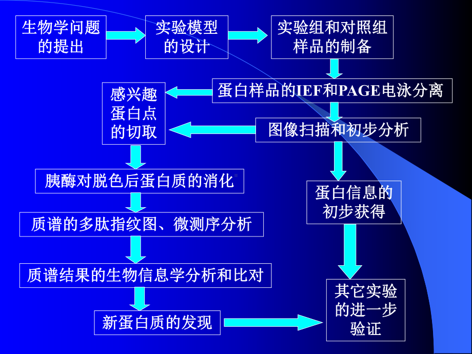 双向电泳的样品制备.ppt_第2页