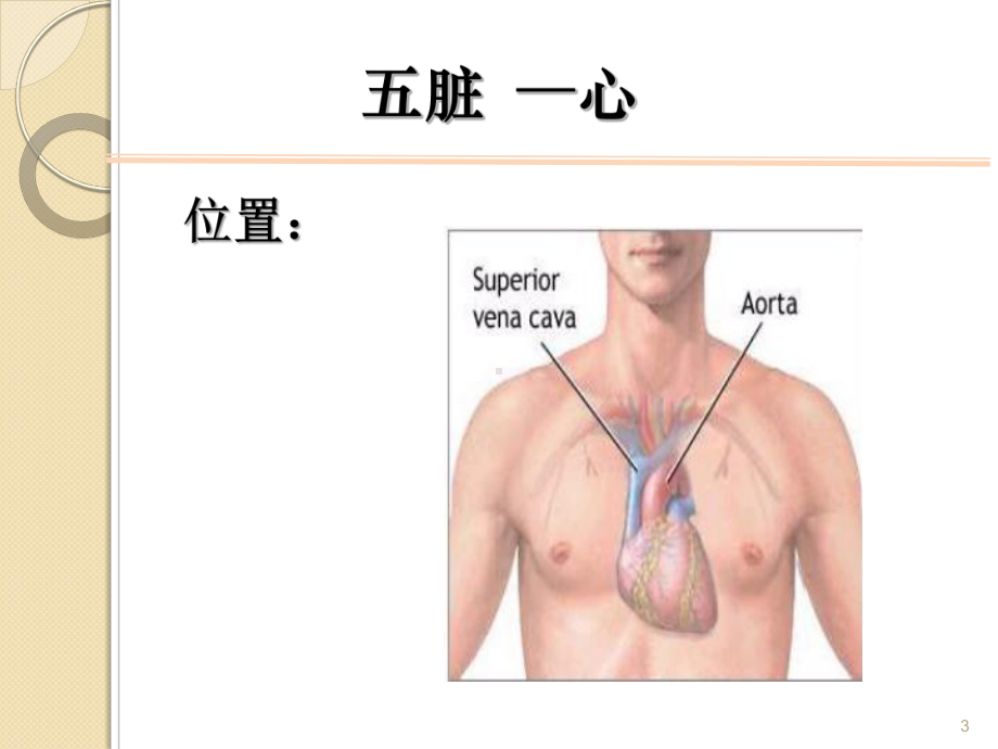 藏象学说课件.ppt_第3页