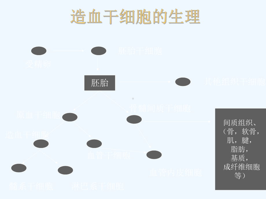 造血干细胞移植治疗实体瘤课件.ppt_第2页