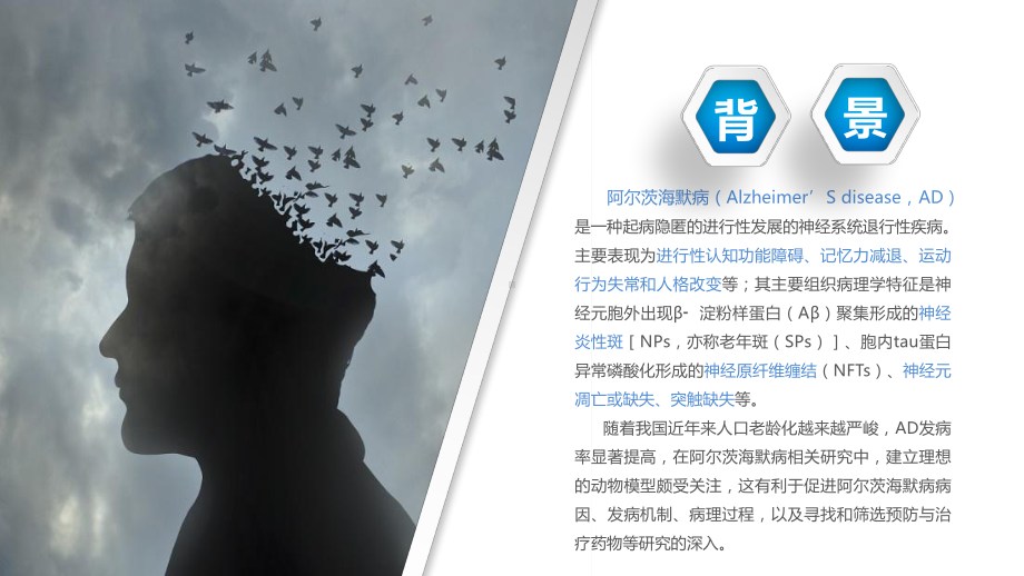 阿尔茨海默症动物模型-课件.ppt_第2页