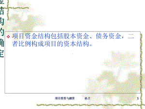 项目资金结构与资金来源课件.ppt