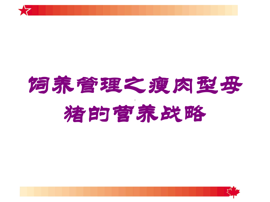 饲养管理之瘦肉型母猪的营养战略培训课件.ppt_第1页