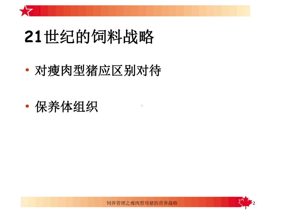 饲养管理之瘦肉型母猪的营养战略培训课件.ppt_第2页