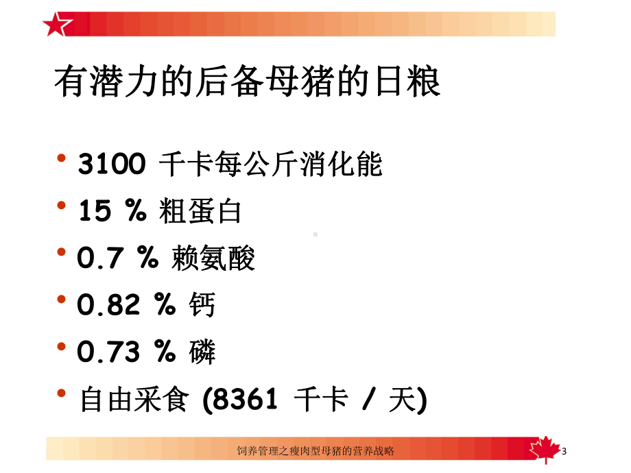 饲养管理之瘦肉型母猪的营养战略培训课件.ppt_第3页