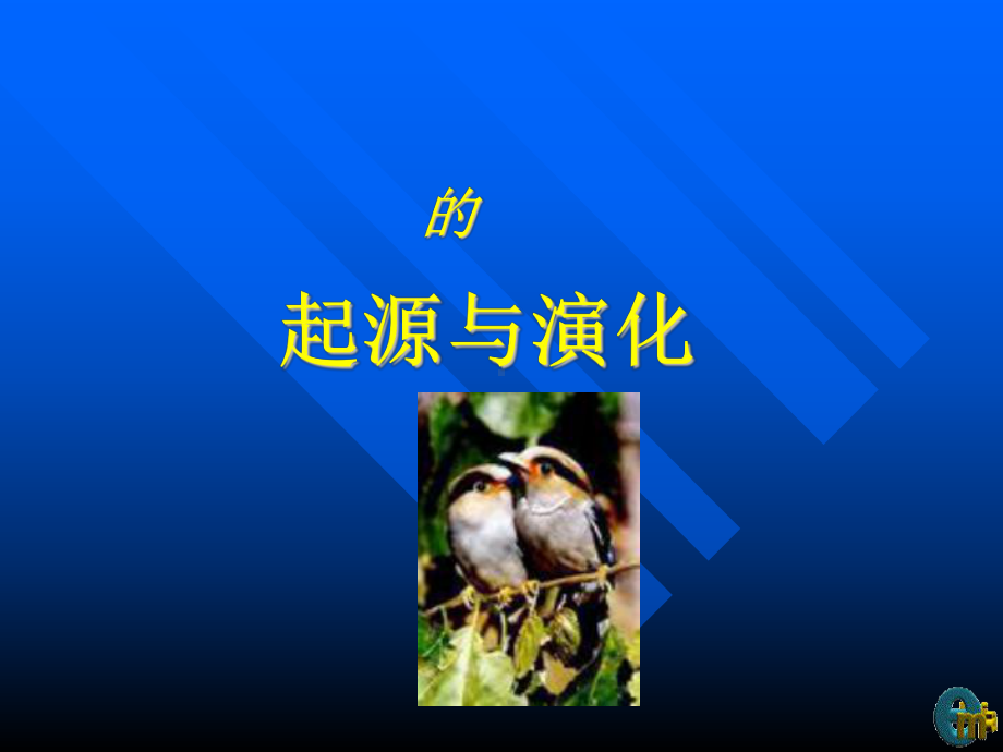 鸟类哺乳类的起源和进化教材课件.ppt_第1页