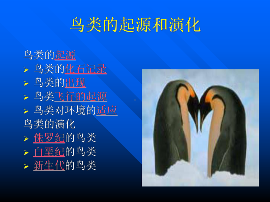 鸟类哺乳类的起源和进化教材课件.ppt_第2页