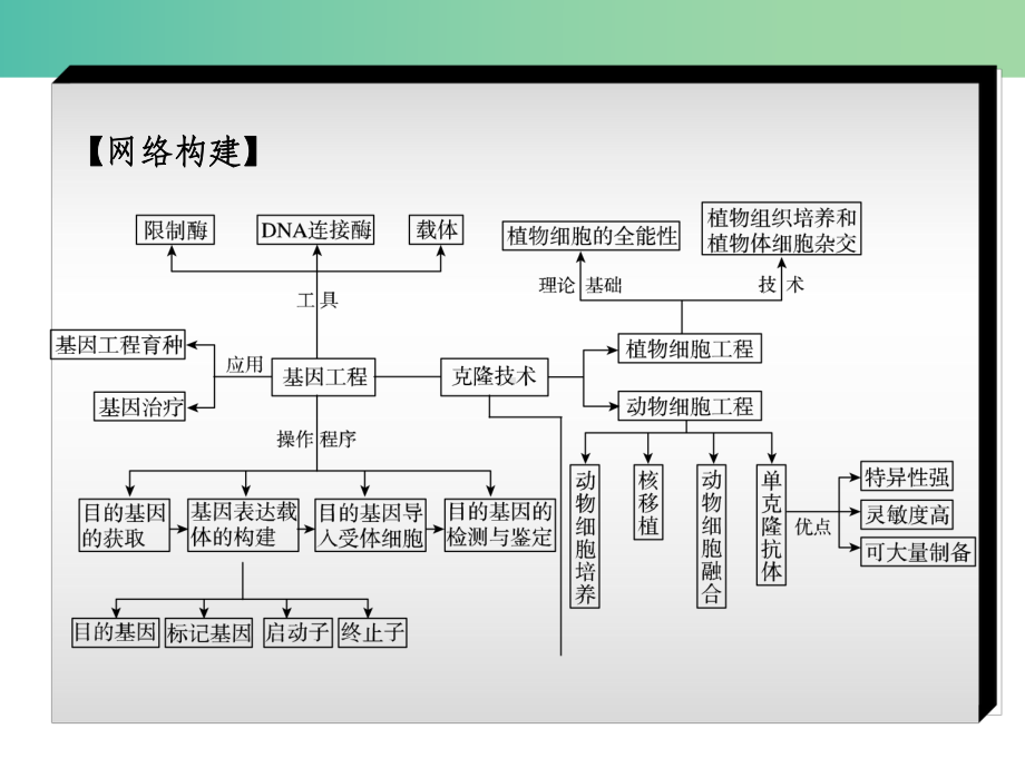 高考生物二轮复习-专题讲练-第8单元-选修模块-15-现代生物科技专题课件.ppt_第2页