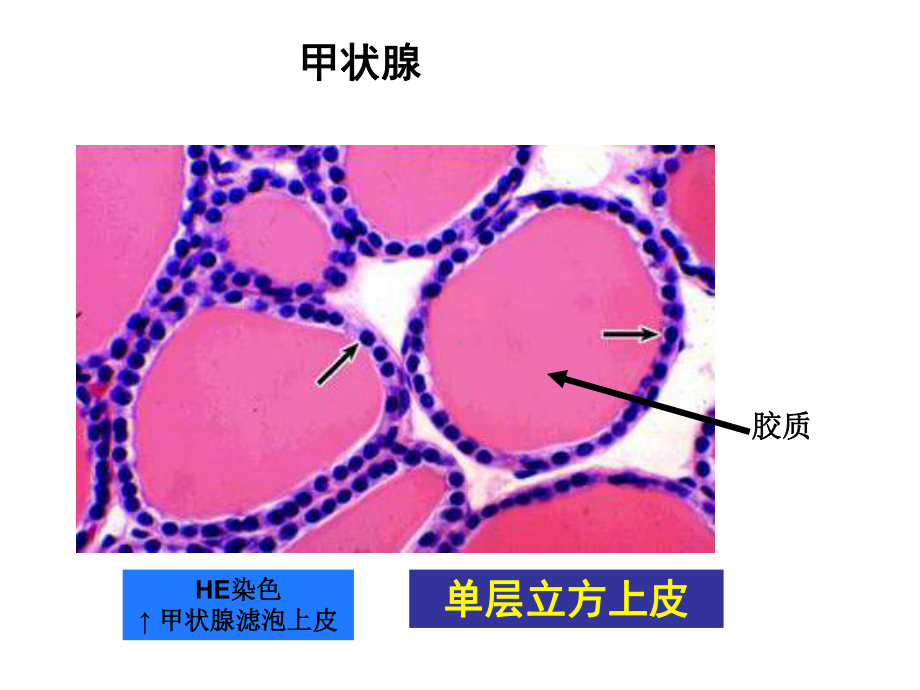 高考理科数学试题(辽宁卷)课件.ppt_第2页