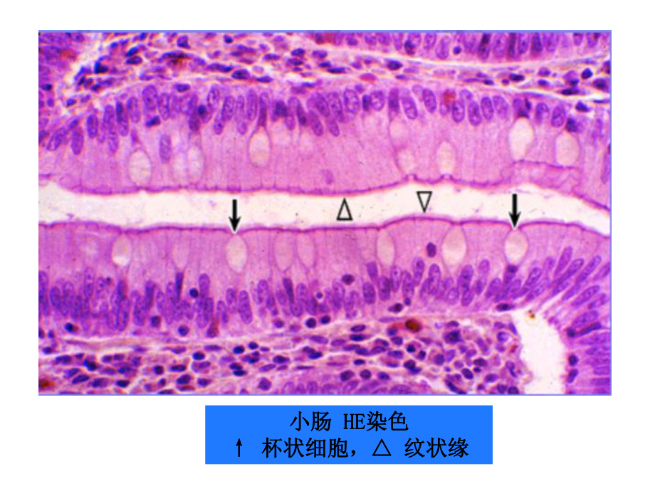 高考理科数学试题(辽宁卷)课件.ppt_第3页