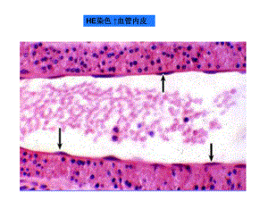 高考理科数学试题(辽宁卷)课件.ppt