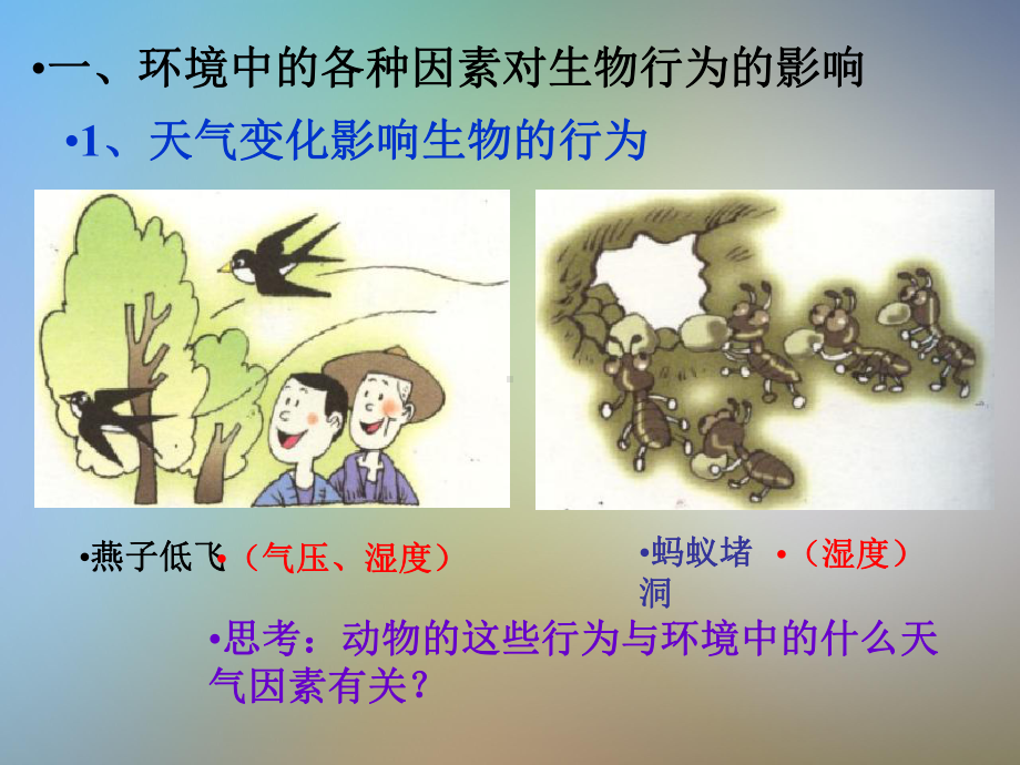 初二科学上册环境对生物的影响课件新人教版.pptx_第2页