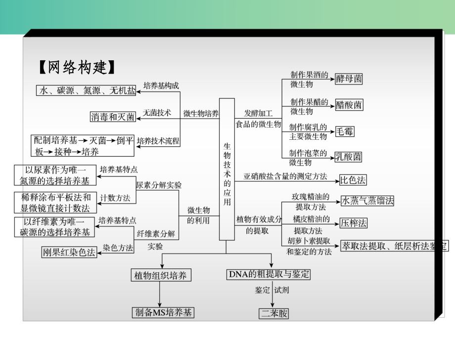 高考生物二轮复习-专题讲练-第8单元-选修模块-14-生物技术实践课件.ppt_第3页