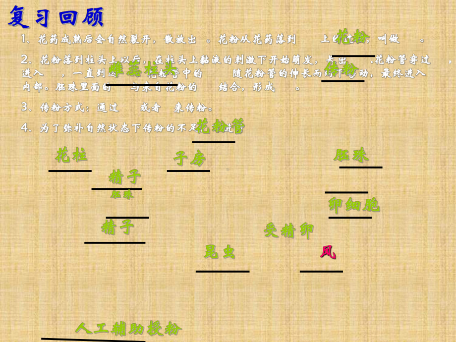 鲁科版生物六年级下册332《绿色植物参与生物圈的水循环》课件2.ppt_第1页