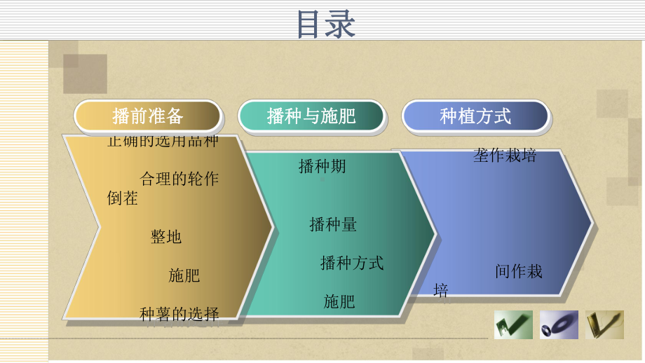 马铃薯播前准备课件.ppt_第1页