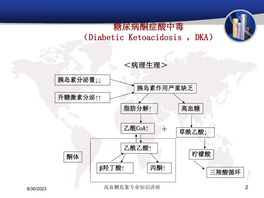 高血糖危象专业知识讲座培训课件.ppt_第2页