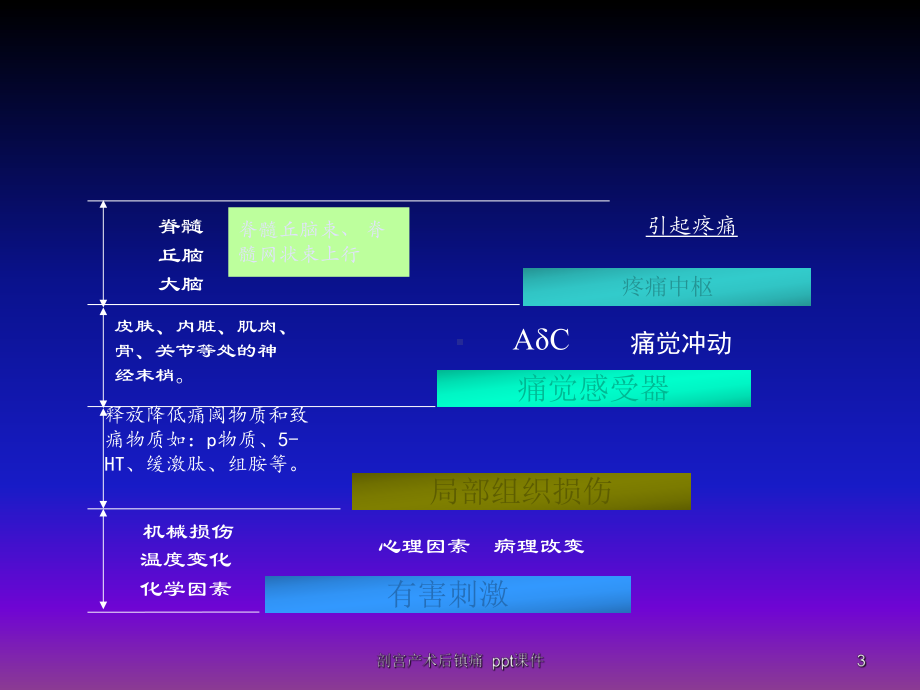 剖宫产术后镇痛-课件.ppt_第3页