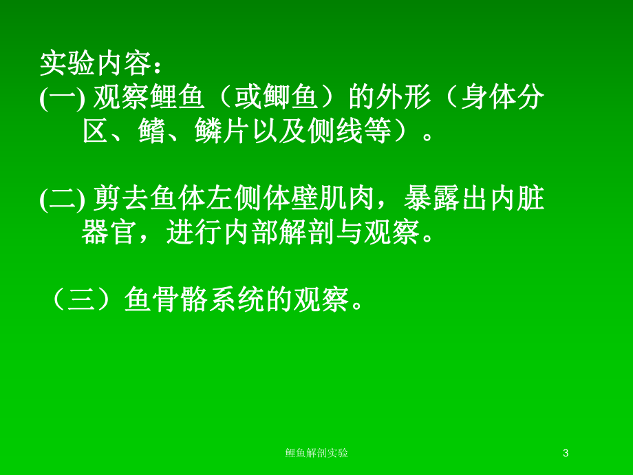 鲤鱼解剖实验培训课件.ppt_第3页